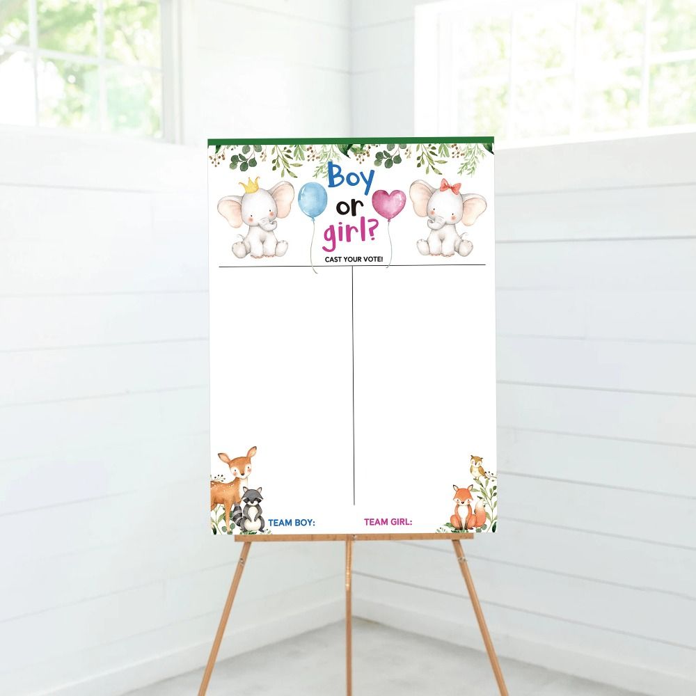 Board Game Or Boardgame - Met stickers Geslacht onthuld Stemspel Feestelijk